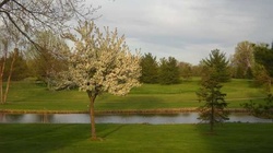 Online Booking - Round of Golf at Raccoon Hill Golf Club