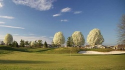 Online Booking - Round of Golf at Linfield National Golf Club