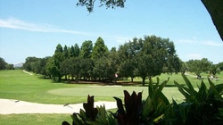 Online Booking - Round of Golf at Dunedin Golf Club