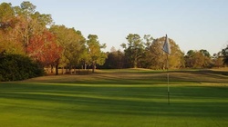 Online Booking - Round of Golf at The Eagles Golf Club - Forest
