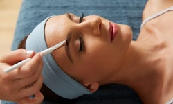$112 for One Complete Microblading Session with a Free Touch-Up Four-Weeks after Treatment ($230 Value)