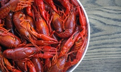  American Food and Drink at Tha Daq Shack (Up to 51% Off). Two Options Available.