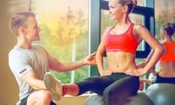 Body, Fitness, and Nutrition Assessment with One or Three One-on-One Sessions from Gymguyz  (Up to 75% Off)
