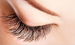 Up to 40% Off on Eyelash Extensions at Sheer Beauty and Lashes