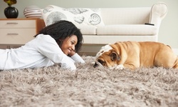 Carpet Cleaning for 2 to 6 Rooms Plus One Hallway from Be Green Services (Up to 76% Off)