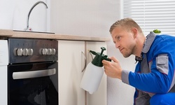 Up to 50% Off at All American Pest Management 