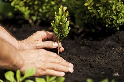 Up to 79% Off on Gardener at Texas Dirt Delivery