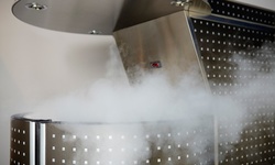 1, 3, or 5 Whole-Body Cryotherapy Sessions at Virginia Beach Physical Therapy & Wellness (Up to 65% Off)