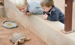 Admission for Two or Four at River Bend Nature Center (Up to 43% Off)
