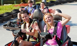 Three-Attraction Pass for One, Two, or Four at Adventure Landing (Up to 53% Off) 