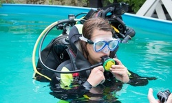Scuba Diving Certifcation for One or Two People with Gear Rental at Dino's Diving (Up to 55% Off)