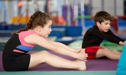 Online Tumbling Classes for Children from The Tumbling Company of Houston (Up to 40% Off). 9 Options Available.