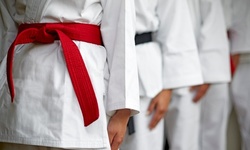 $30 Off $60 Worth of Martial Arts / Karate / MMA