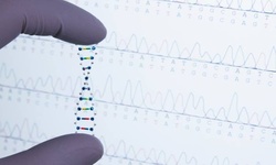 Save with AncestryDNA Coupon