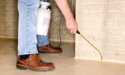 $35 for One-time Pest-control Treatment for up to 4,000 Sq Ft from Frontline Exterminating ($175 value)