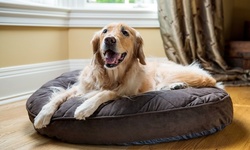 $20 for $40 Worth of Services — LaBella Barker Animal Care Service