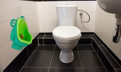 BabyLuv Kids Wall-Mounted Standing Toilet Boys Frog Potty Pee Training Urinal