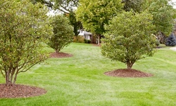 $39 for a 1-Time Mosquito Control Treatment from Southern Pest Control ($205 Value)