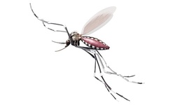 One or Two Outdoor Mosquito Control Application Services from Frontline (Up to 83% Off)