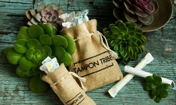 Three or Six Months of Tampons or Pads or Medium or Large Menstrual Cups from Tampon Tribe (Up to 58%)