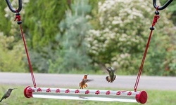 Hanging Hummingbird Feeder Red Bright Transparent Tube with Hole for Outdoors 