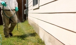 Pests Prevention and Elimination Treatment from Bulwark Exterminating (Up to 66% Off). Three Options Available.