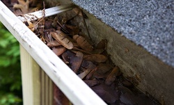 Gutter Cleaning or Interior and Exterior Window Cleaning from Phil's Pressure Washing (Up to 50% Off)