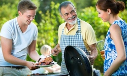 $42.50 for a Mosquito-Fogging Lawn Treatment for Up to a Half Acre from MosquitoNix ($149 Value)