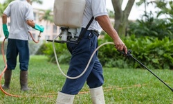$38.25 for Pest Inspection and Pest Control Mosquito Treatment from Naturalcare Pest Control ($149 Value)