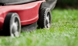 50% Off Lawn Mowing Service