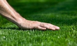 $22 for $40 Worth of Services at Keep It Clean Lawn Service