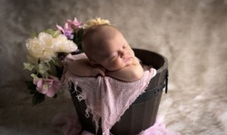 $37 for 60-Minute Newborn In-Studio Photo Shoot at Anedny Laubscher Photography ($329 Value)