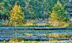 $46.84 for Annual Family Tree Membership to Houston Arboretum & Nature Center ($75 Value)