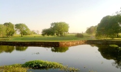 18-Hole Round of Golf for Two or Four Including Cart Rental at Legendary Oaks Golf Course (Up to 43% Off)