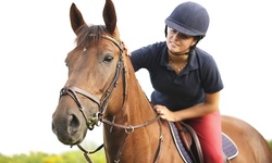 One or Two Private English Horseback-Riding Lessons at Snowdonia Farms (Up to 46% Off)
