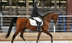 Horseback Riding Lessons at Magic Moments Stable (Up to 48% Off) 