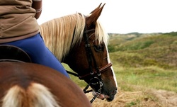 Two or Four 60-Minute Private Horseback-Riding Lessons at Leener Acres Ranch (Up to 62% Off)
