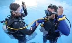 Discover Scuba Session for One, Two, or Four at Independent Diver (Up to 60% Off)
