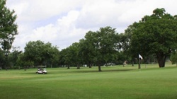 Online Booking - Round of Golf at Sharpstown Park Golf Course