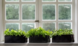 Organic Herb Planter Box Kits - Basil,Oregano & Parsley(1Pk, 2Pk, 3Pk w/ Shovel)
