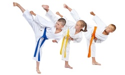 6-Week Martial Arts Class for 1 Child or 4-Week Self-Defense Class for 1 Adult at Ninja Fit (Up to 51% Off)