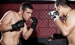 Four Weeks of Unlimited Martial Arts Classes at Blue Valley MMA (47% Off)