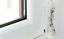 Cleaning Restoration Services from Professional Restoration And Rehab Group (Up to 55% Off)