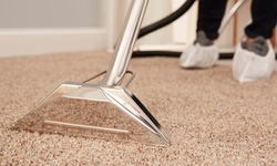 Rug and Carpet Cleaning for Three Rooms and One Hallway from SteriPro