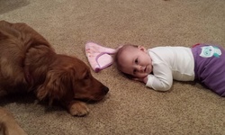 Two Hours of Cleaning Services from Classic Carpet Care (55% Off)