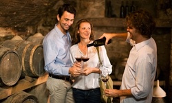 Wine-Tasting Tour with Optional Lunch, or Transportation for Non-Drinker from Little Bus Tours (Up to 37% Off)