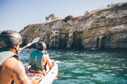 La Jolla Sea Cave Kayak Tour or Rental from Everyday California (Up to 65% Off). Two Options Available.