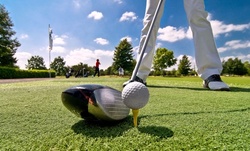 Two or Four 30-Minute Private Golf Lessons from Todd DeAngelis Golf Professional (Up to 60% Off)