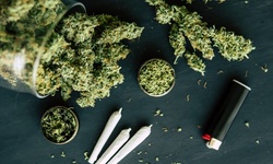 Online Cannabis Growology Course with Certificate for One or Two from Grow Cannabis School