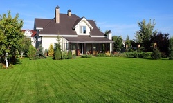 $4 Off $6 Worth of Landscaping